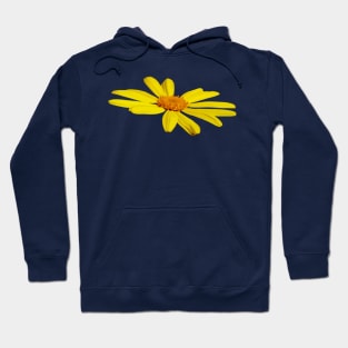 Floating Butterfly Marguerite Daisy Hoodie